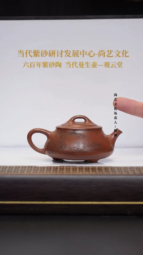 茶壶紫砂宜兴紫砂 紫砂壶 FWH 红清水 韵瓢