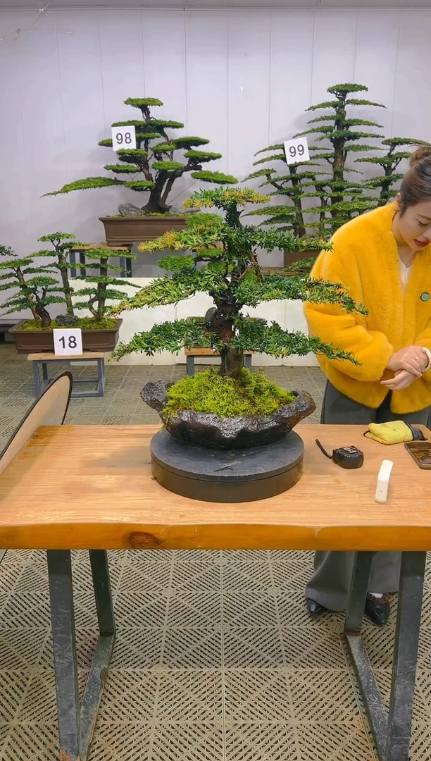 无花朵一物一拍一物一拍