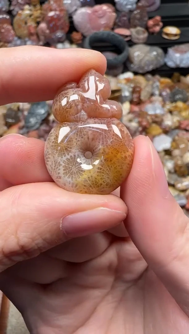 颈饰未镶嵌硅化珊瑚（珊瑚玉）208