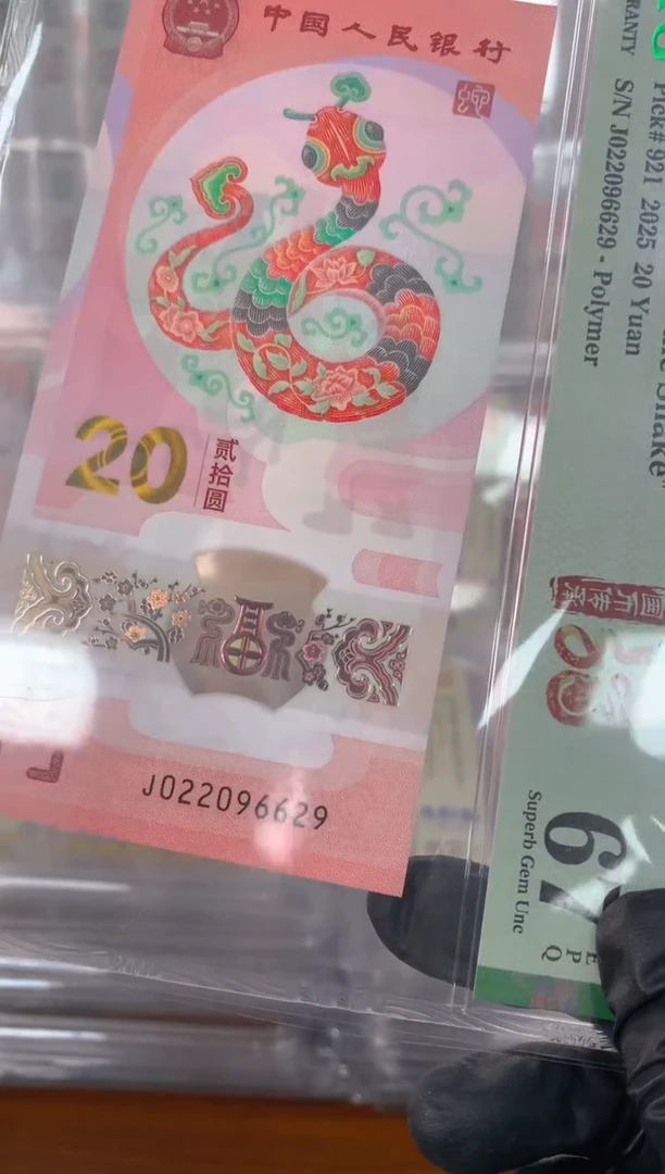 塑料2025蛇钞 真钞 评价封装 单张