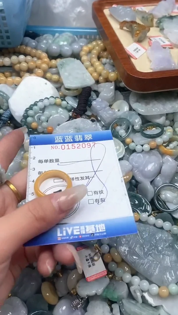 【闪购商品】翡翠颈饰未镶嵌闪购0152097