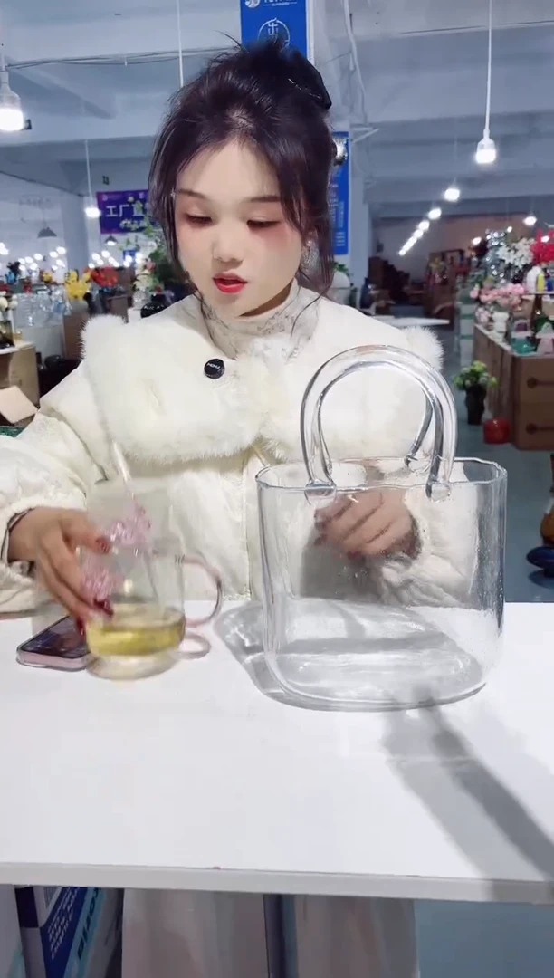 【闪购商品】玻璃C-透明包包花瓶