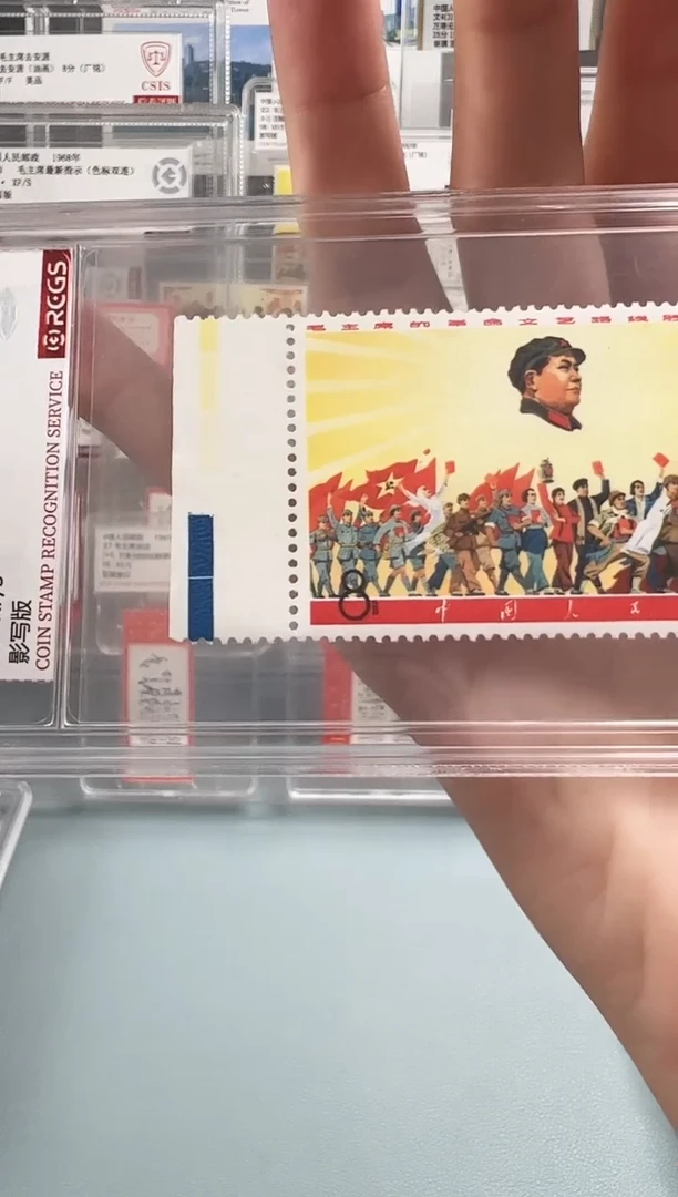 文5游行左宽边双色标