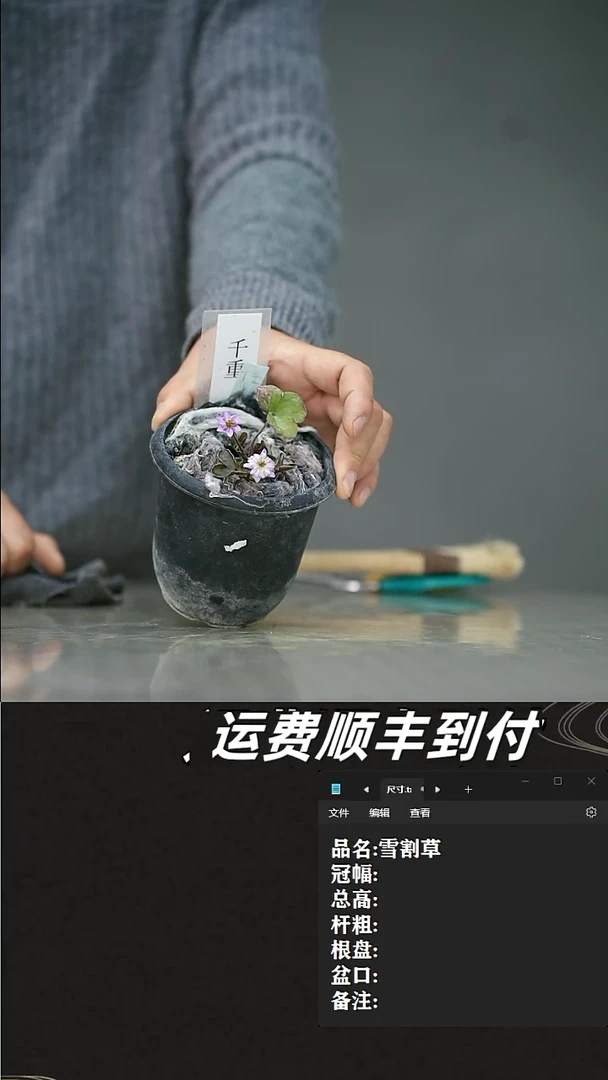 【闪购商品】80