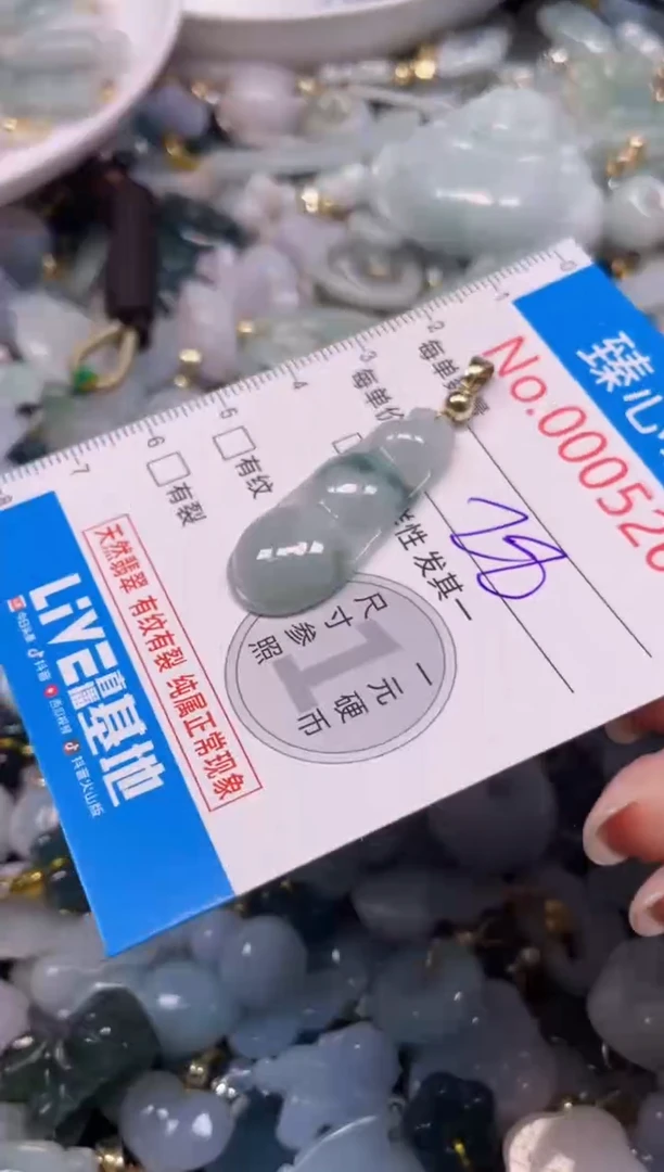 颈饰未镶嵌翡翠5260