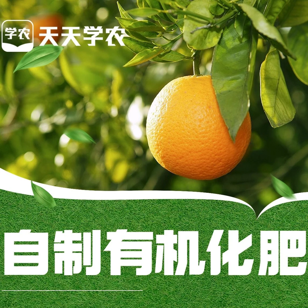[923直播间]壮力康氨基酸2瓶（送任胜林有机肥体验课）