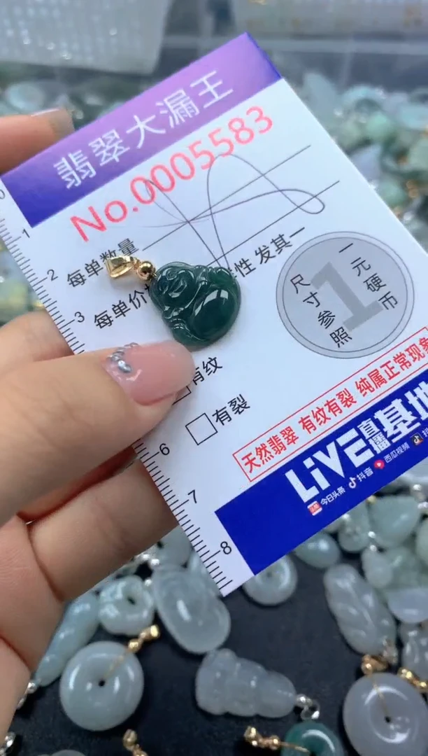 颈饰未镶嵌翡翠5883