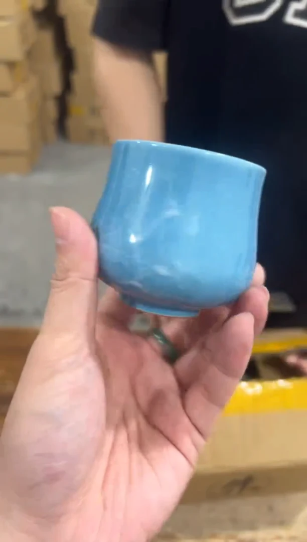 瓷片【闪购商品】-----1