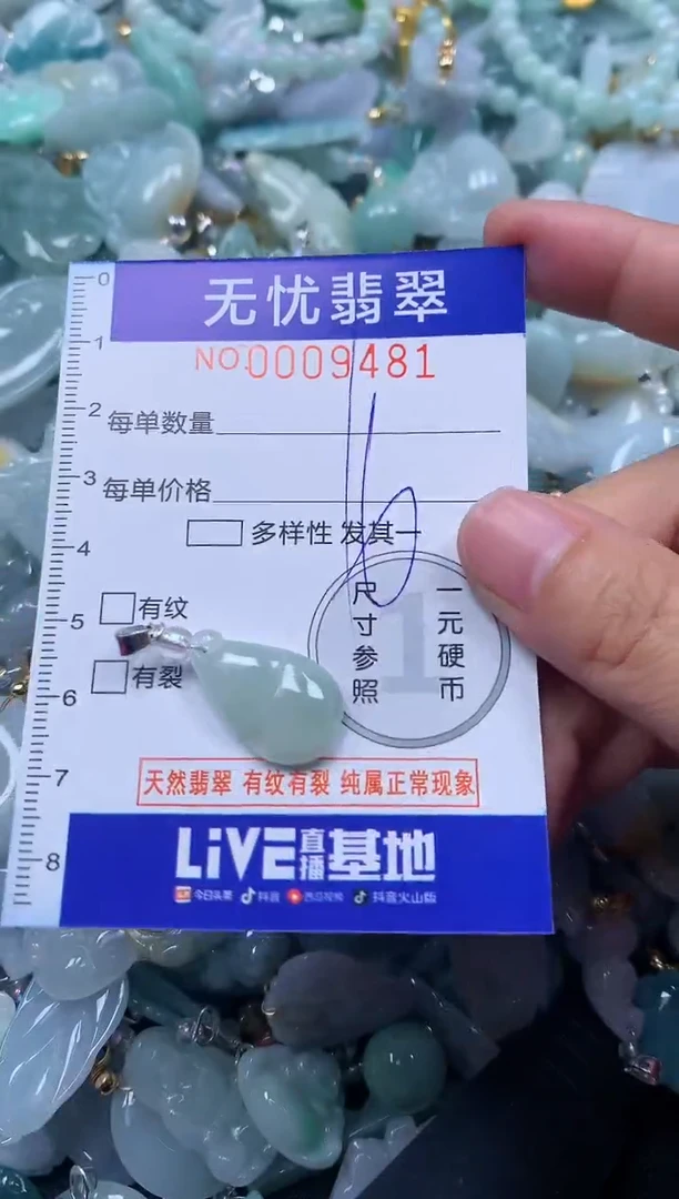 颈饰未镶嵌翡翠9481