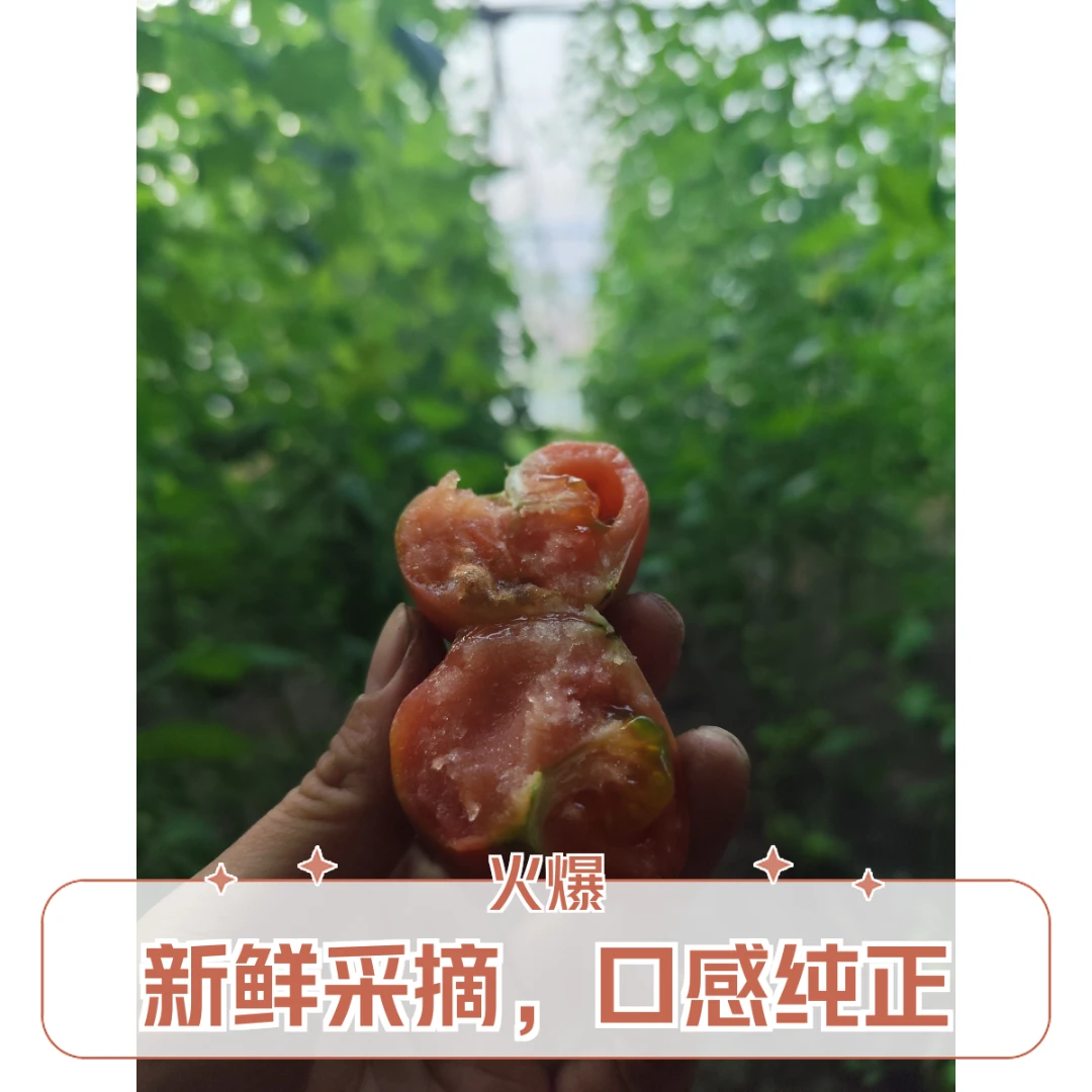 【一亩良田】 碱地柿子 小时候的味道 自然成熟  草莓柿子