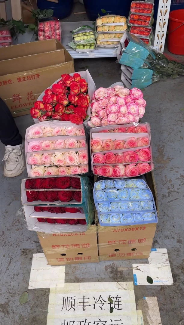 单头玫瑰40枝（任意2个品种）+多头玫瑰10枝（任意色）