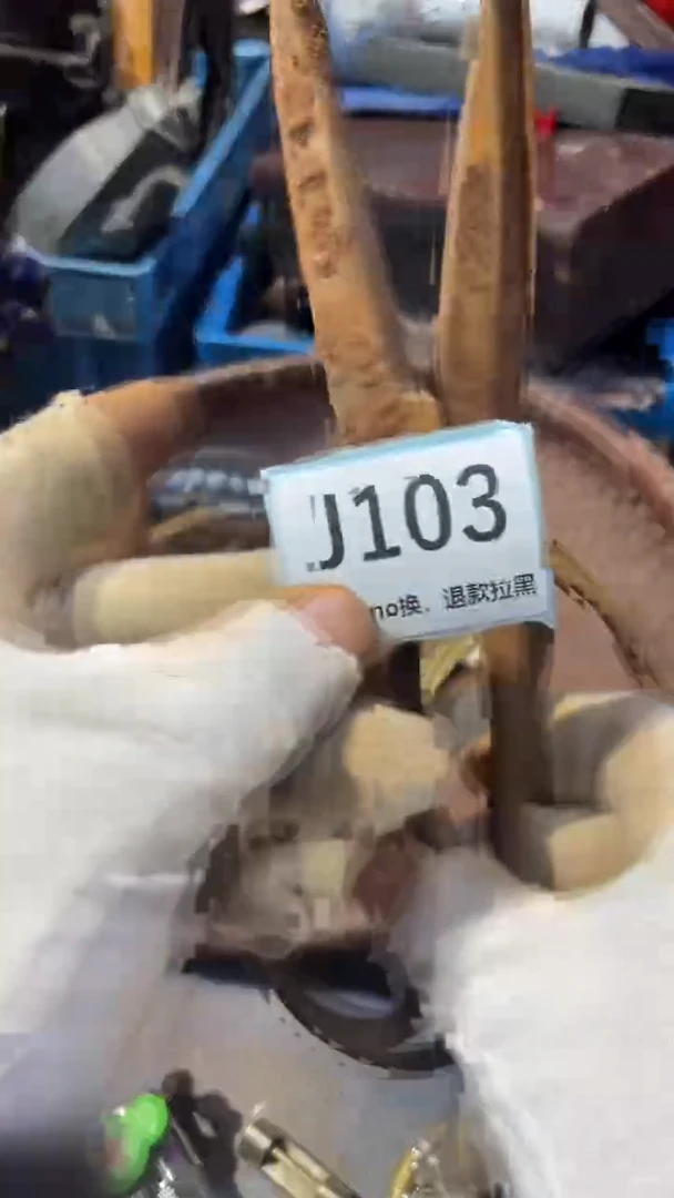 陶瓷光**月表弟直播链接火爆