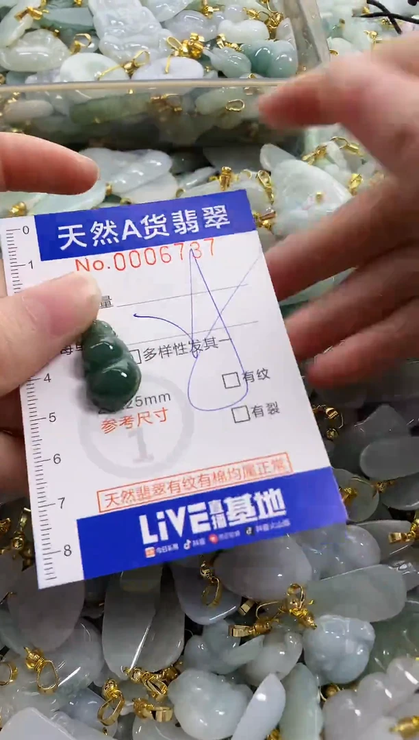 颈饰未镶嵌翡翠天然A货翡翠