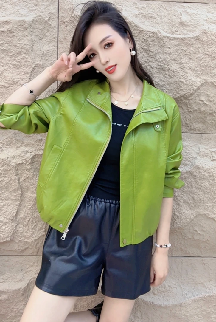 2025秋季新款时尚休闲气质立领秋季皮衣外套女