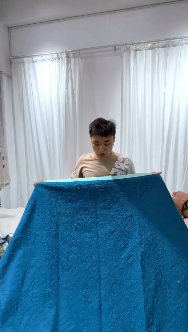 棉200*220纯棉床盖83号微瑕