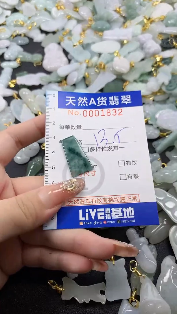 翡翠未镶嵌颈饰N***✨天然A货翡翠