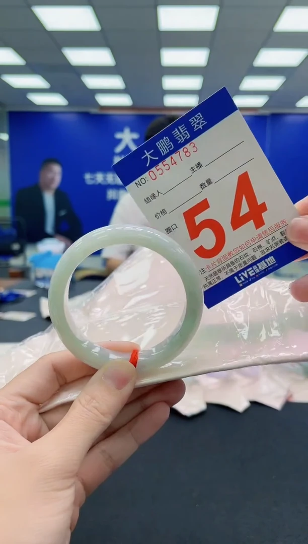 未镶嵌手镯翡翠AAAAAAAAA