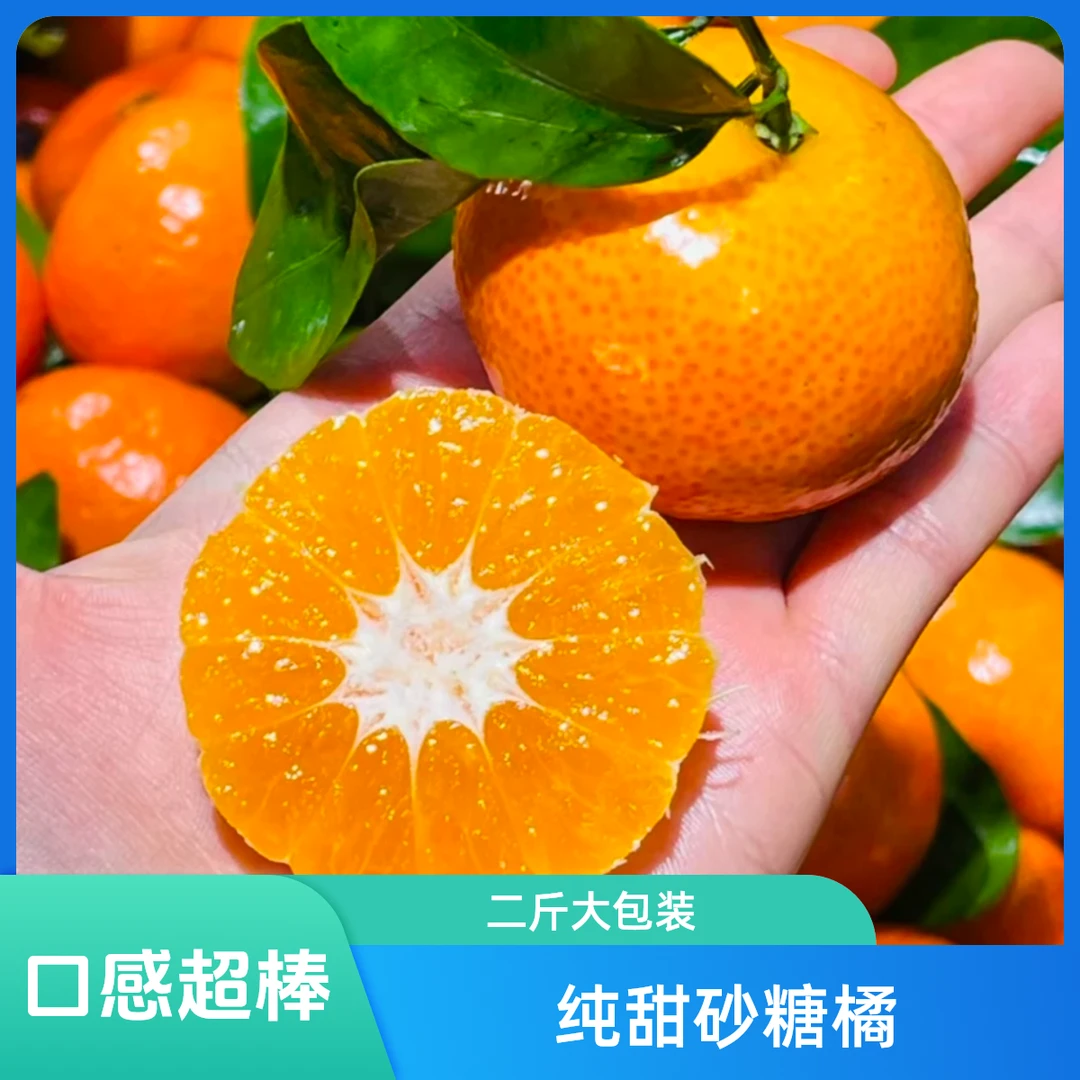 纯甜砂糖橘五斤装广西