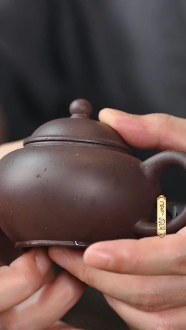 茶壶紫砂17010乐琴华 水平