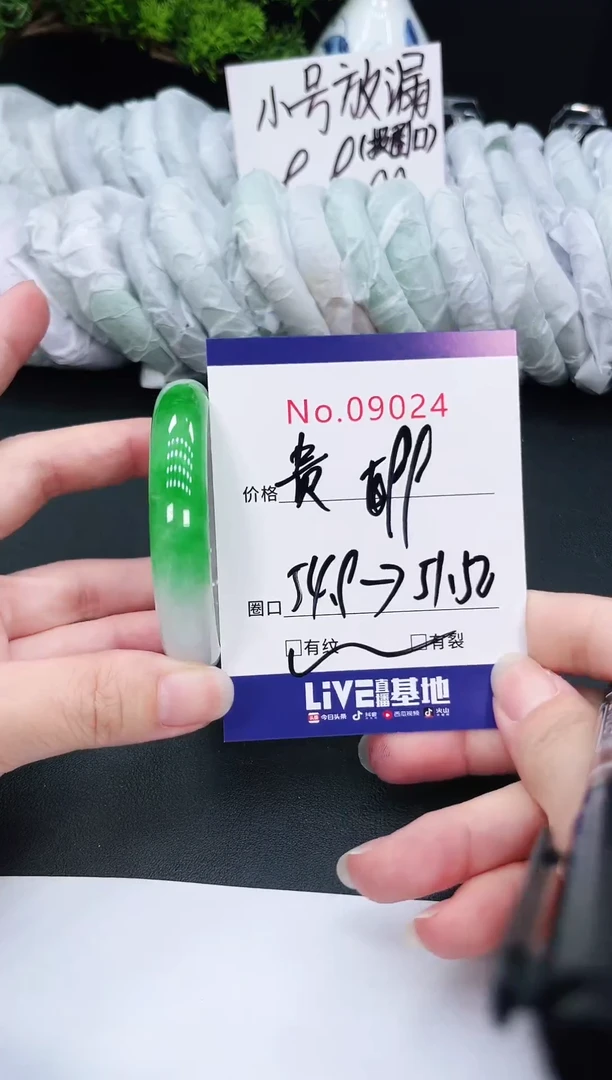 未镶嵌手镯翡翠9024