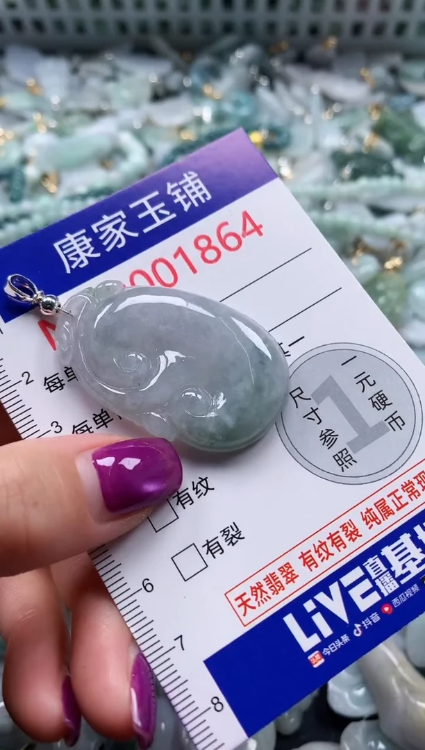颈饰未镶嵌翡翠1864