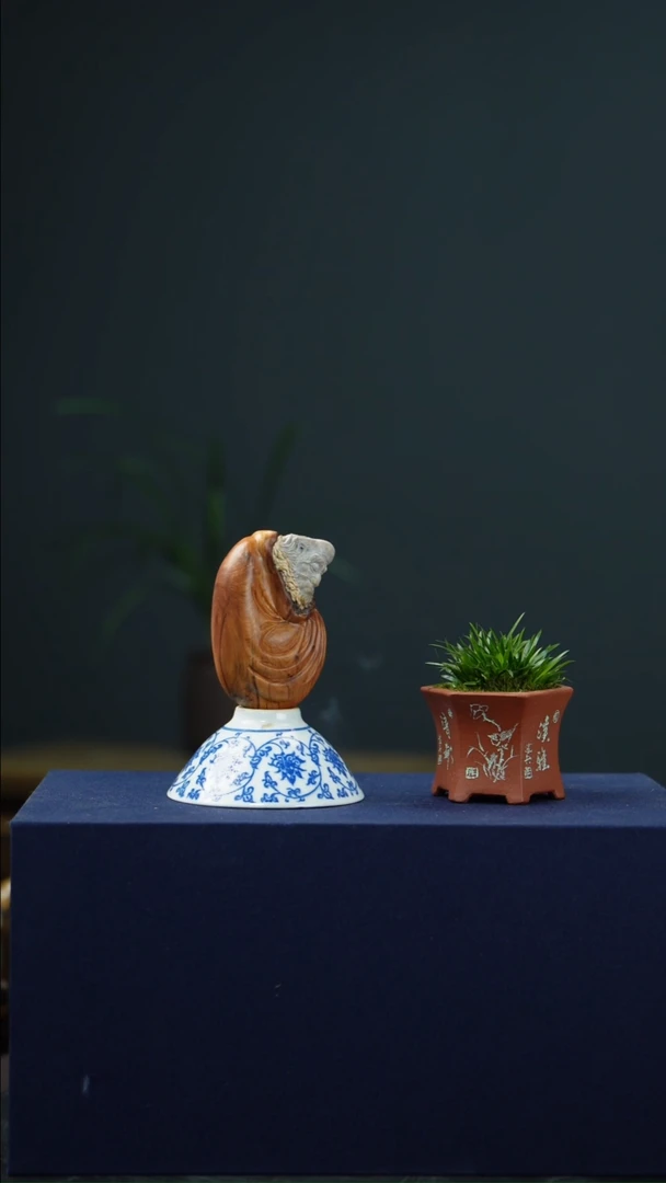 柏木（崖柏）11111111111111111