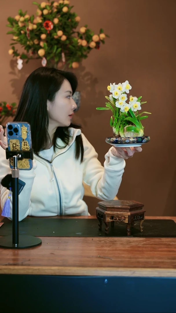 【闪购商品】盆景雕刻水仙