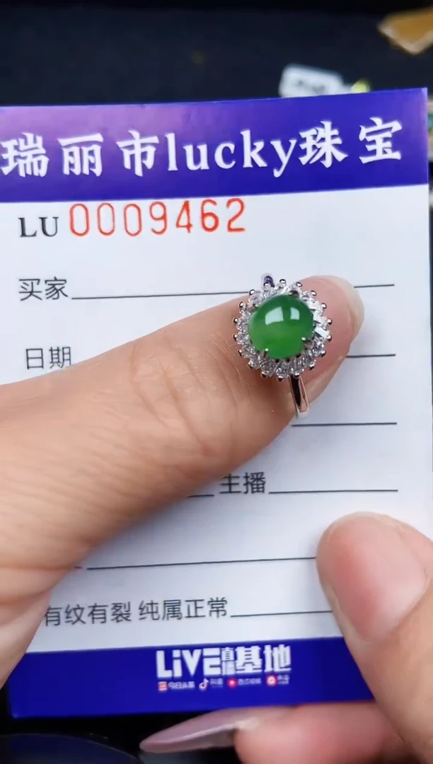 翡翠银S925镶嵌颈饰9462