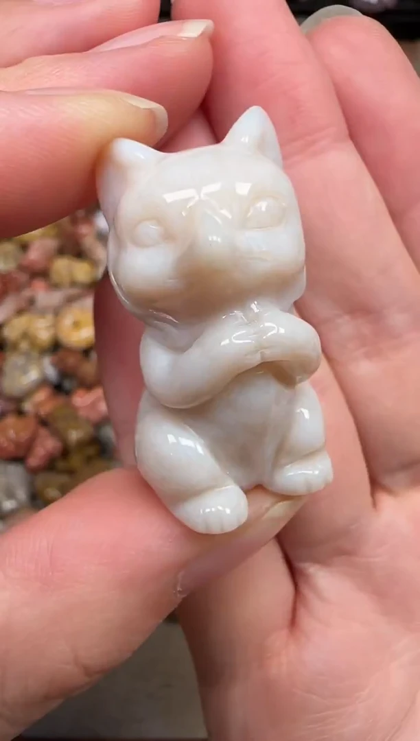 颈饰未镶嵌硅化珊瑚（珊瑚玉）670