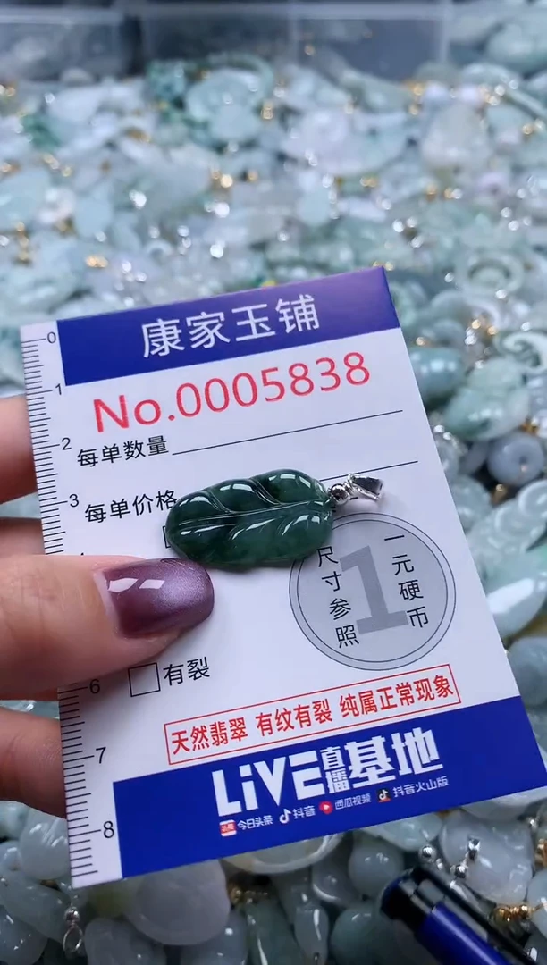 翡翠未镶嵌吊坠(不含链)5838