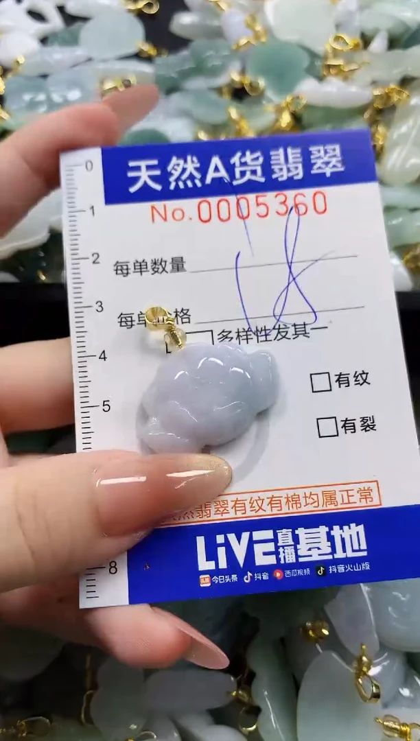 颈饰未镶嵌翡翠天然A货翡翠