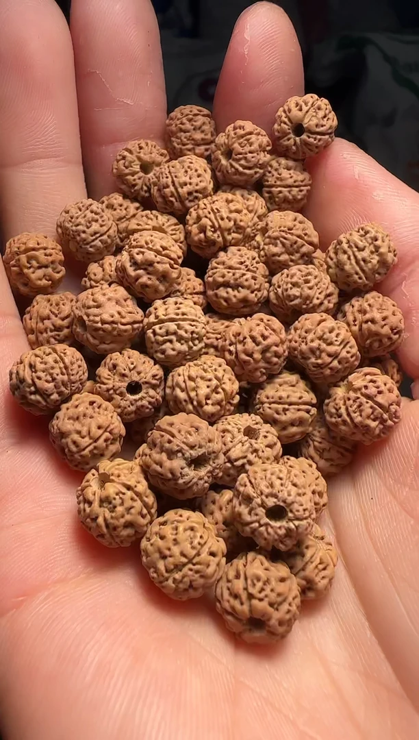 手串金刚菩提非全品天价蜂巢散籽9-10mm一份一百颗
