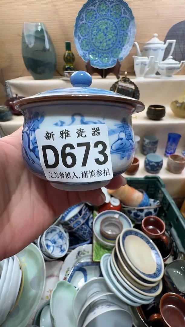 瓷片荷***色          D673
