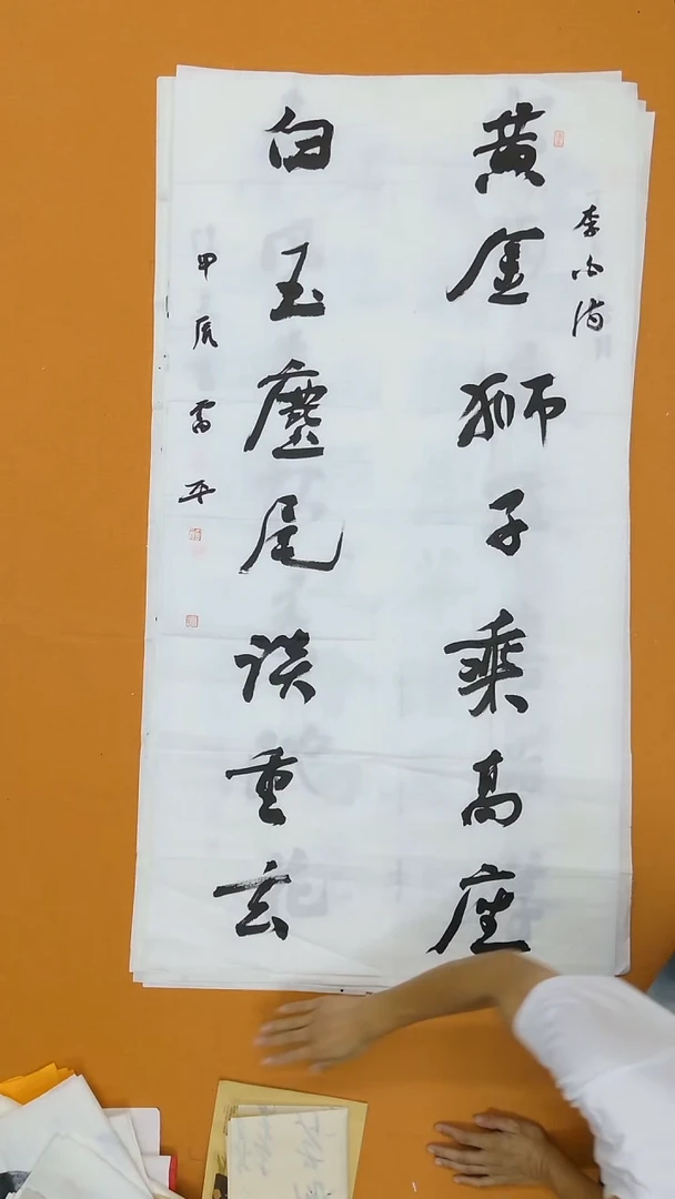 书法雷平  内蒙古理S  138*68cm