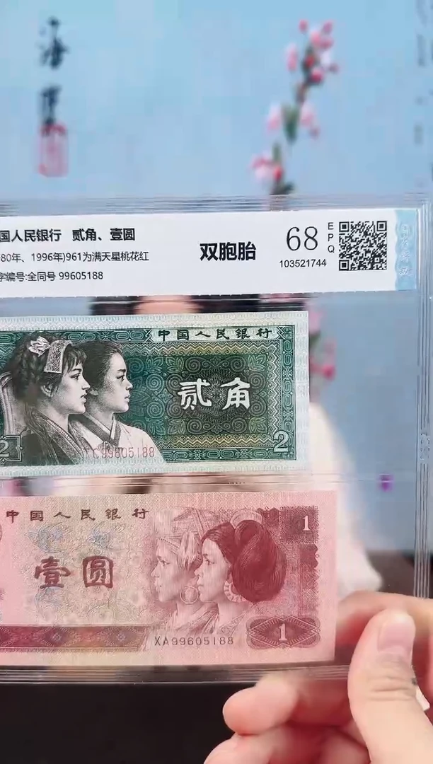 欢婕-国鉴-8002/961双胞胎99605188