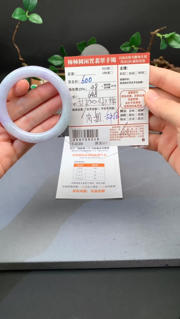 未镶嵌手镯翡翠姐姐250709210