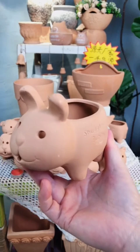 动物星球系列兔子盆