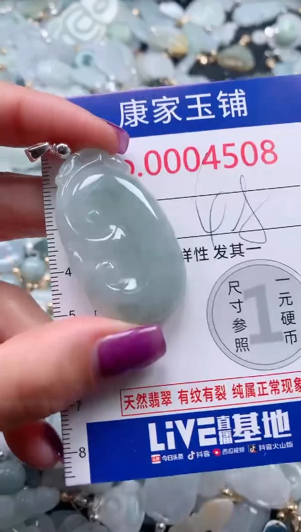 颈饰未镶嵌翡翠4508
