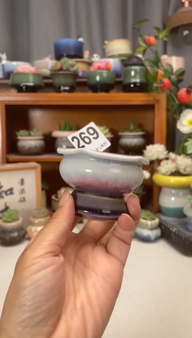 瓷片269知木小芳花盆