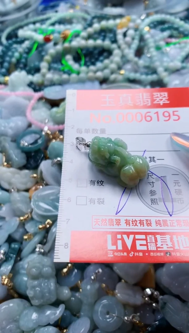翡翠未镶嵌吊坠(不含链)6195
