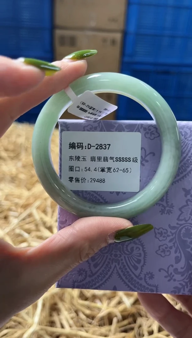 未镶嵌手镯石英质玉D2837