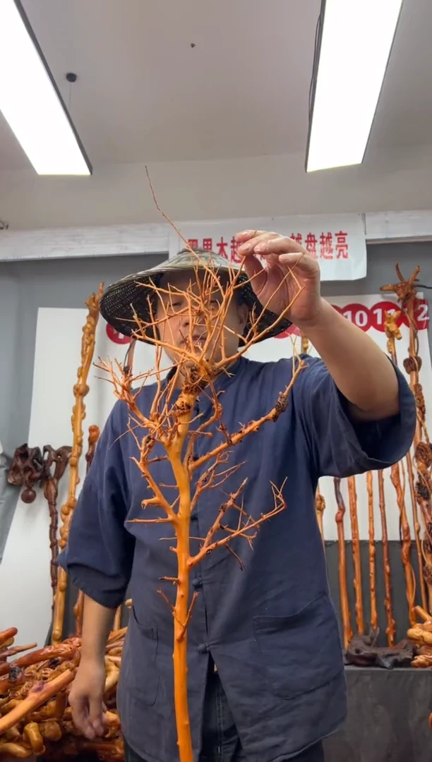 黑果木其他黑果木416