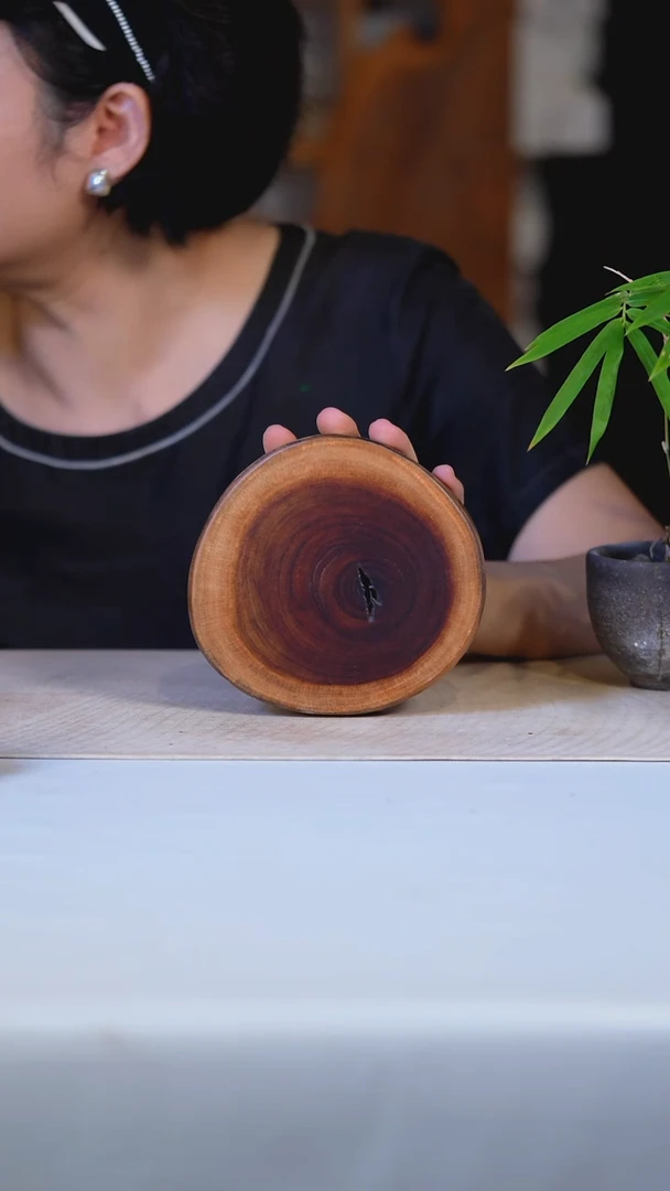 香樟木木切片6910