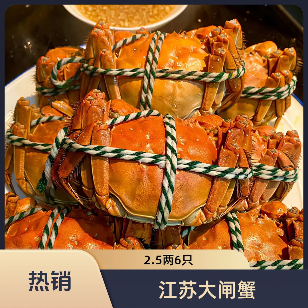 活蟹江苏大母蟹2.5两6只