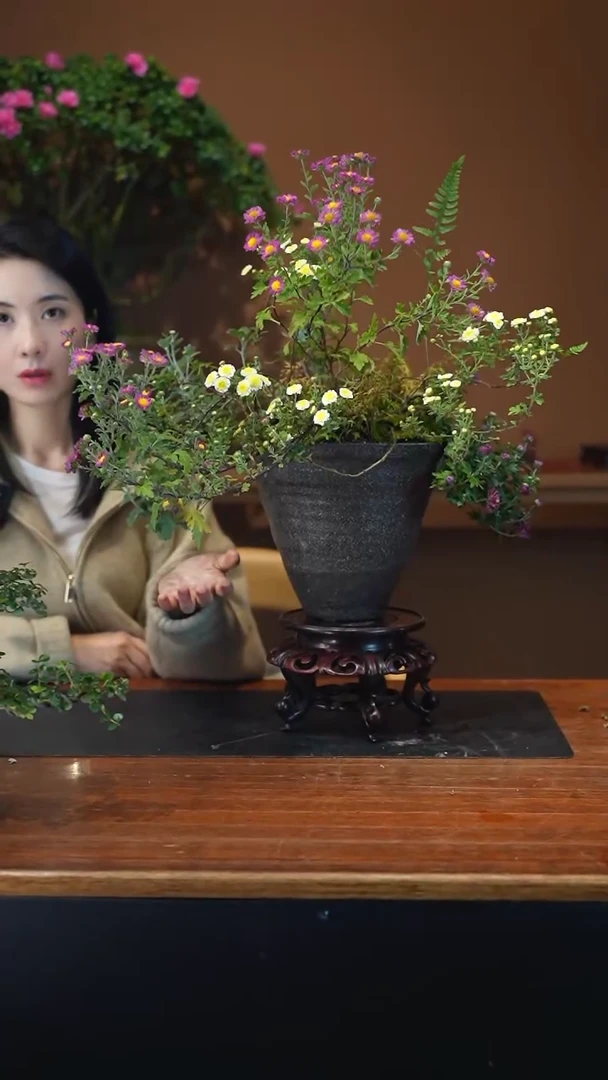 全部花朵山野草盆景盆景盆景