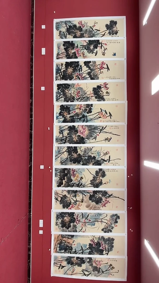 国画荷花十二条