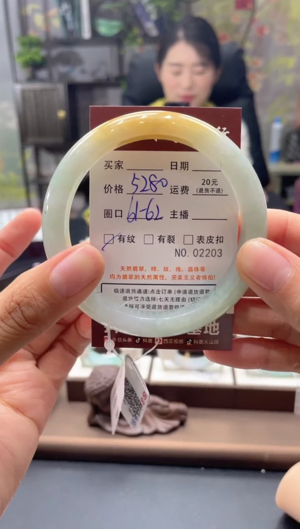 未镶嵌手镯翡翠2203****