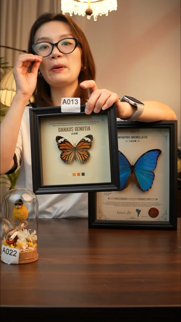 虎斑蝶（6寸方黑色新款框）A013