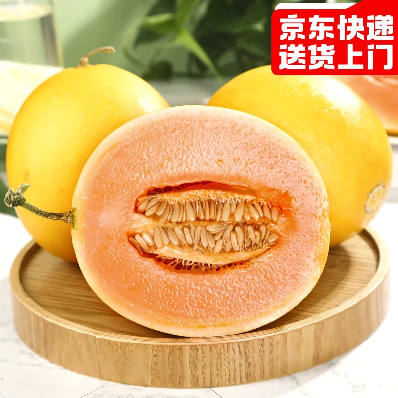 Y【福利小果】甘肃民勤沙漠蜜瓜 4.6-5.2斤应季新鲜水果 (京东包邮）