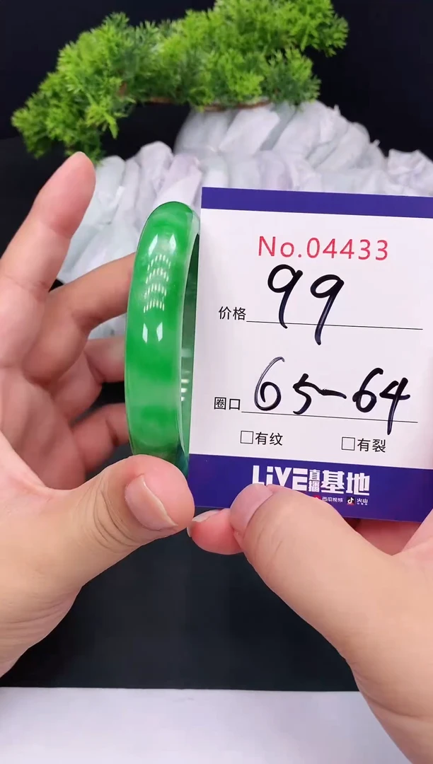 未镶嵌手镯翡翠4433